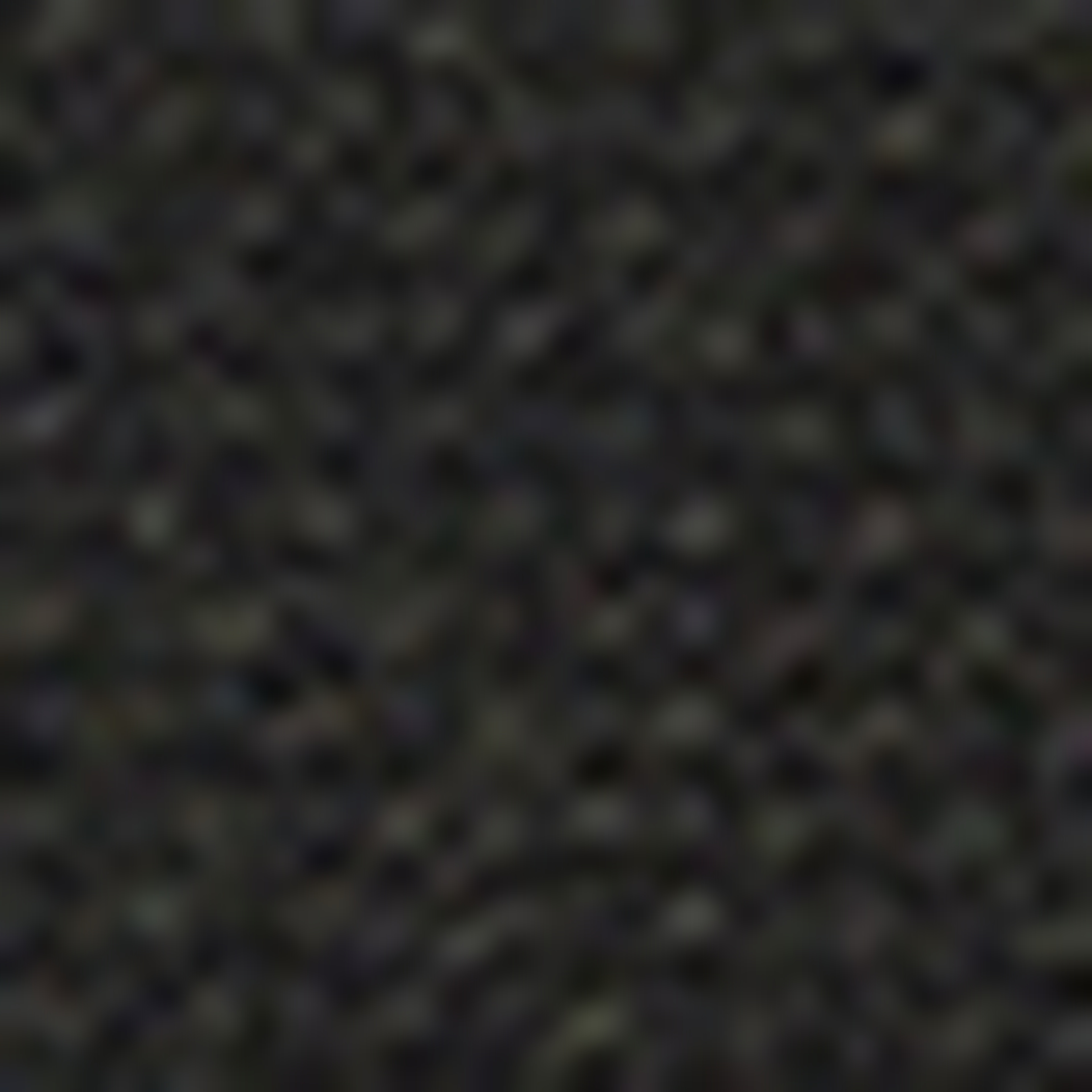 Yeşil Slim Fit Palto - Image 7