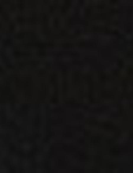 Siyah Pantolon - 50180366006