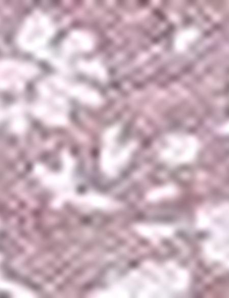 Bordo Slim Fit Tişört - 50185846019