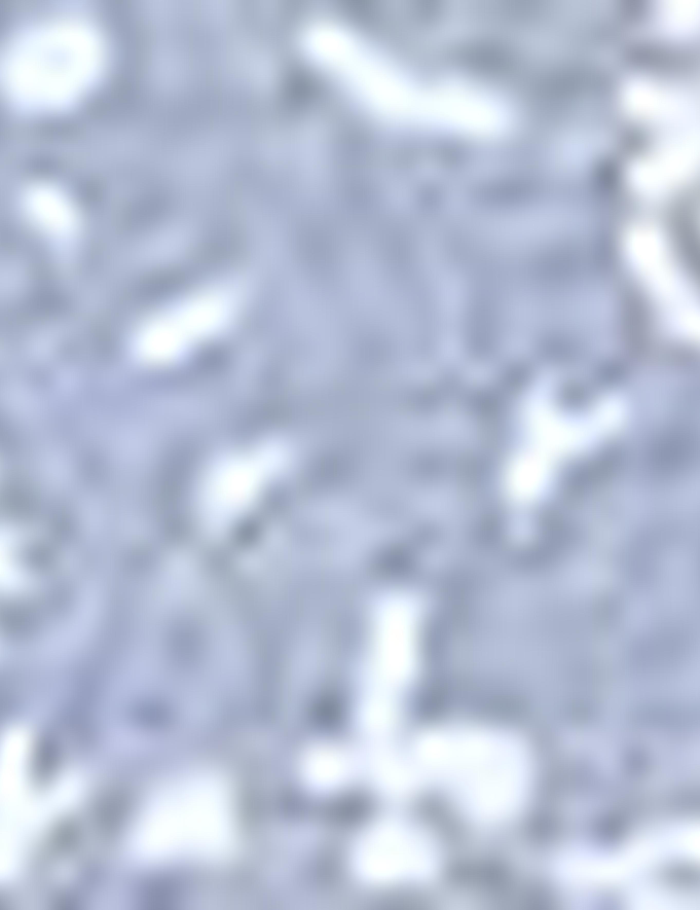 İndigo Slim Fit Tişört