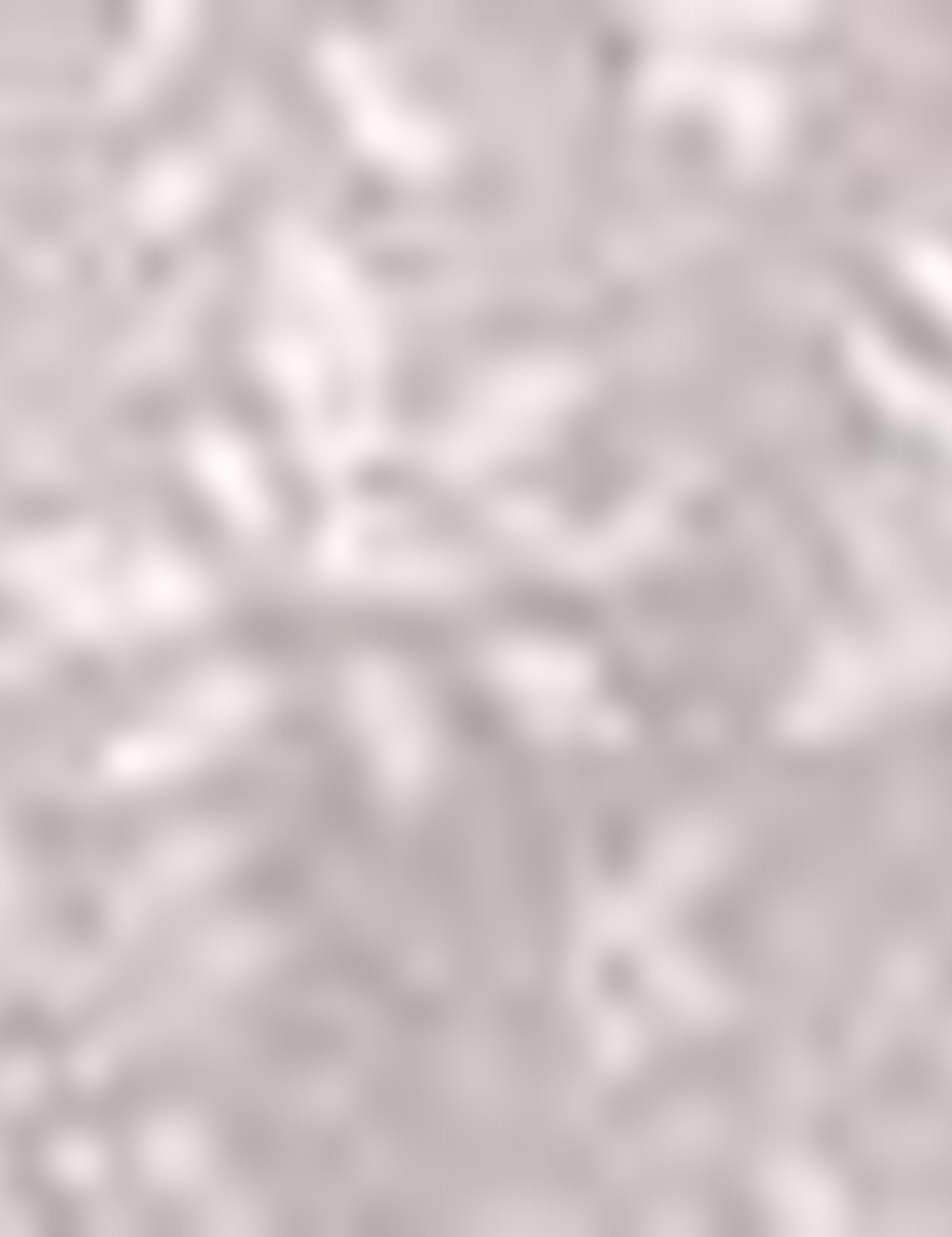 Vizon Slim Fit Tişört