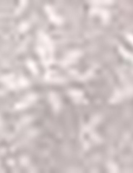 Vizon Slim Fit Tişört - 50185846047