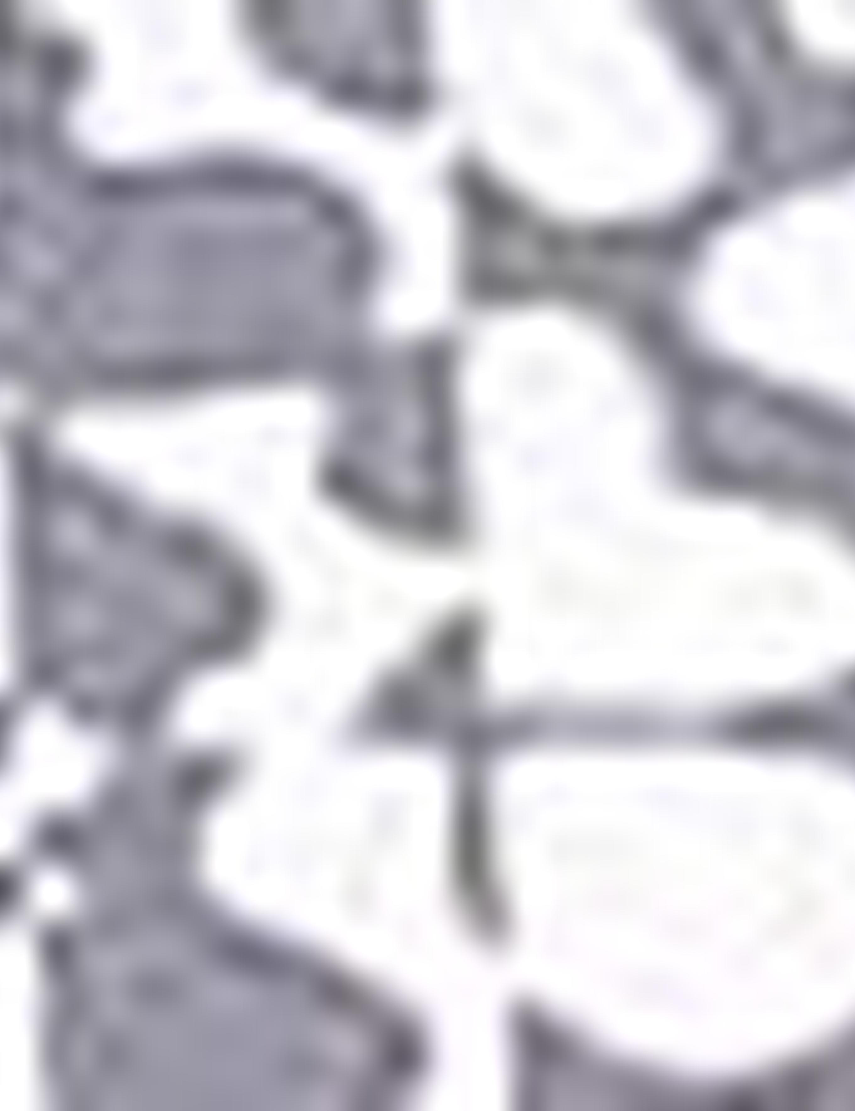 Vizon Slim Fit Tişört