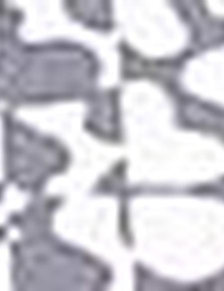 Vizon Slim Fit Tişört - 50185848010