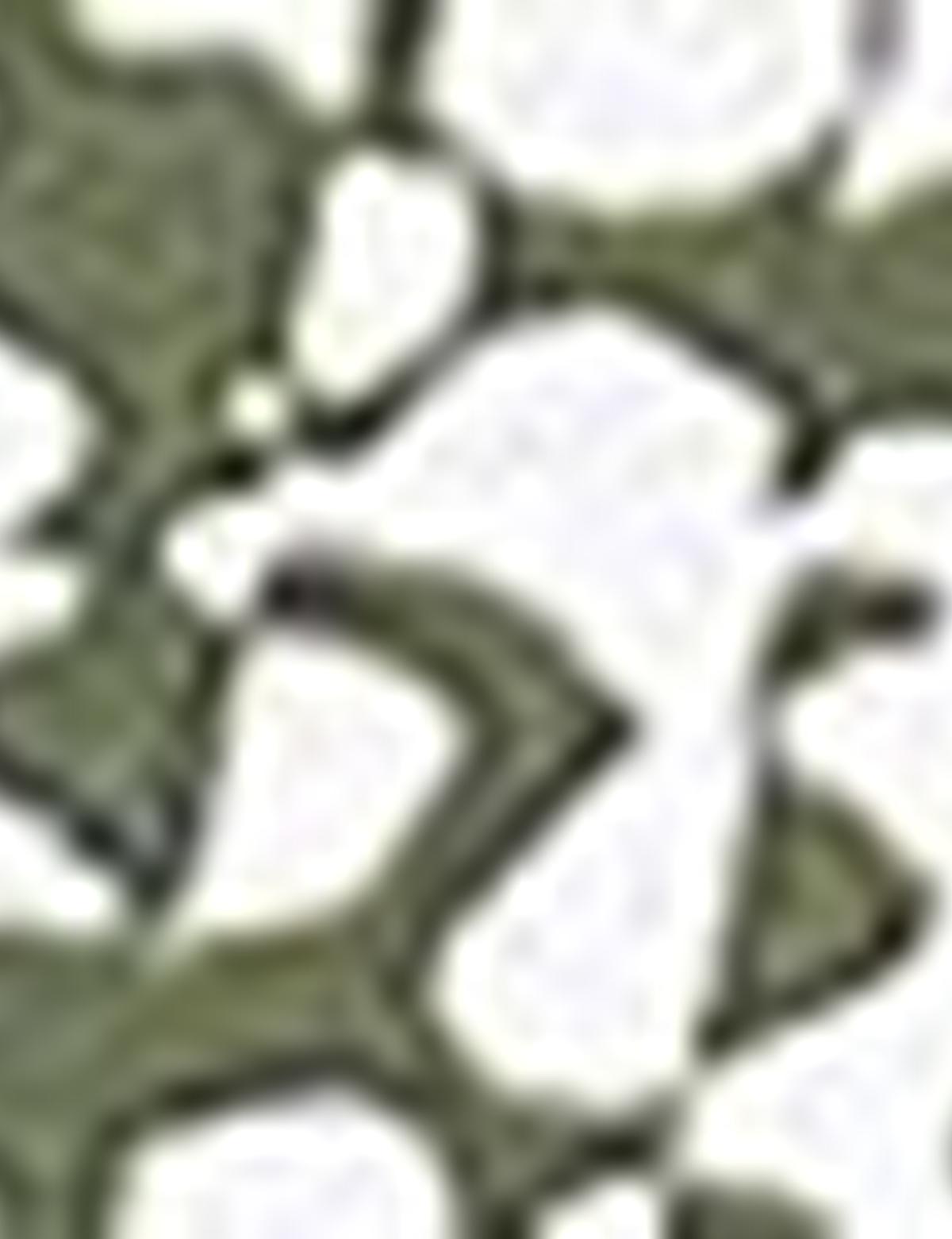 Yeşil Slim Fit Tişört - 50185848043