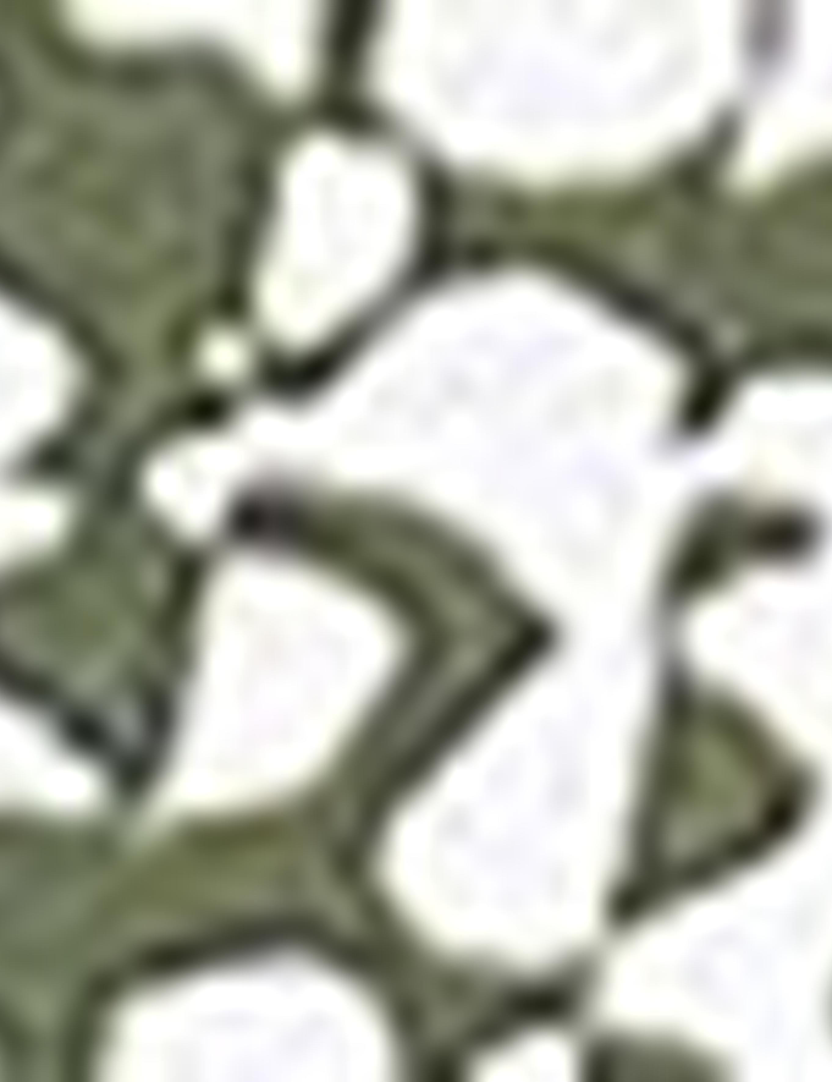 Yeşil Slim Fit Tişört