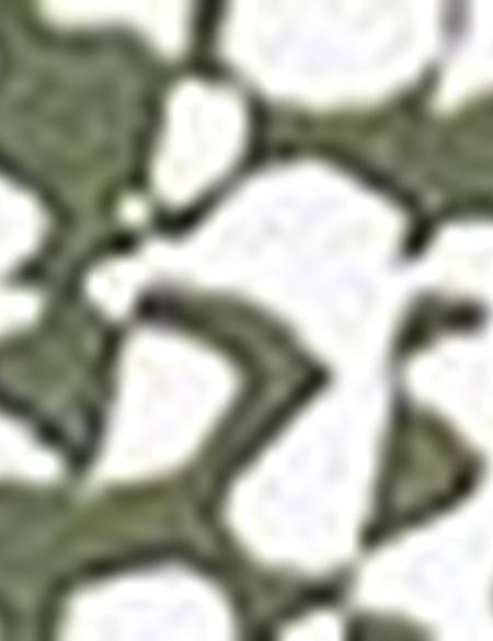 Yeşil Slim Fit Tişört - 50185848043