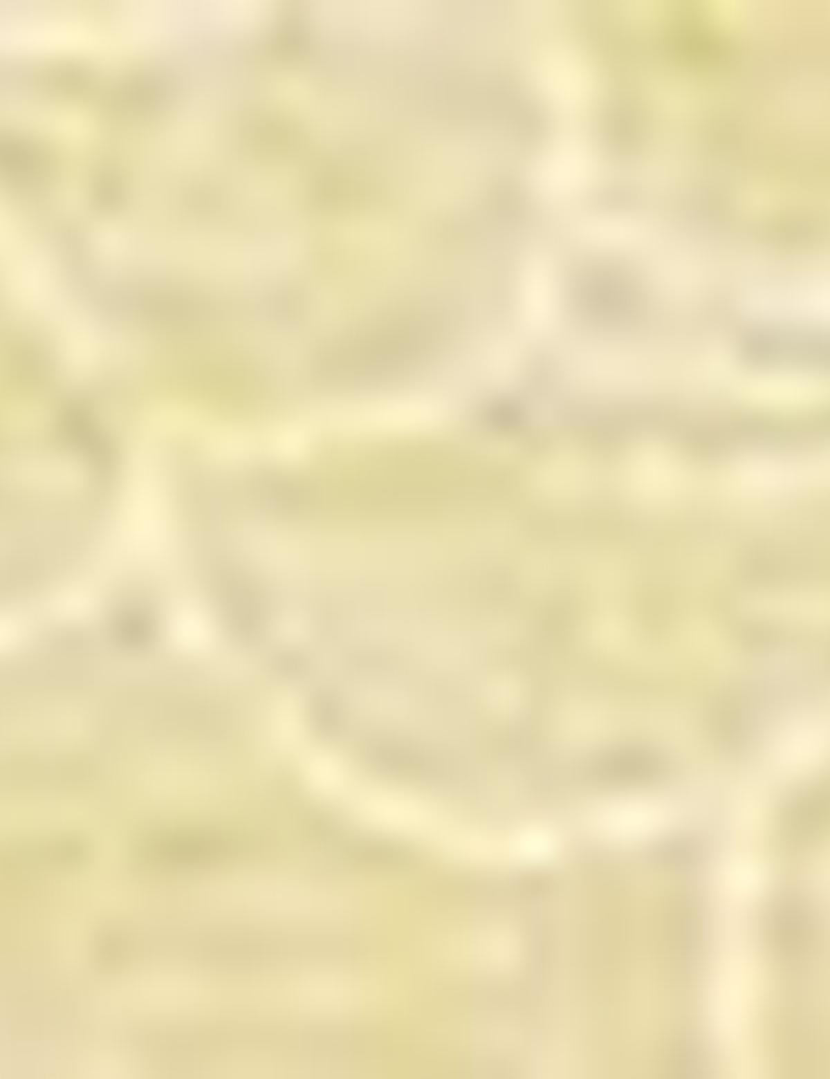 Sarı Slim Fit Tişört - 50185849007