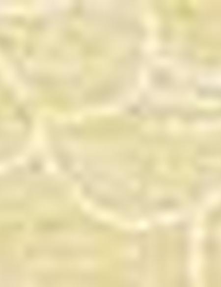 Sarı Slim Fit Tişört - 50185849007