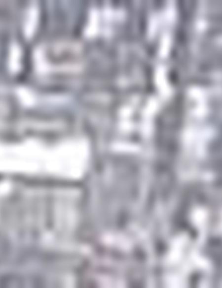 Vizon Slim Fit Tişört - 50185860025