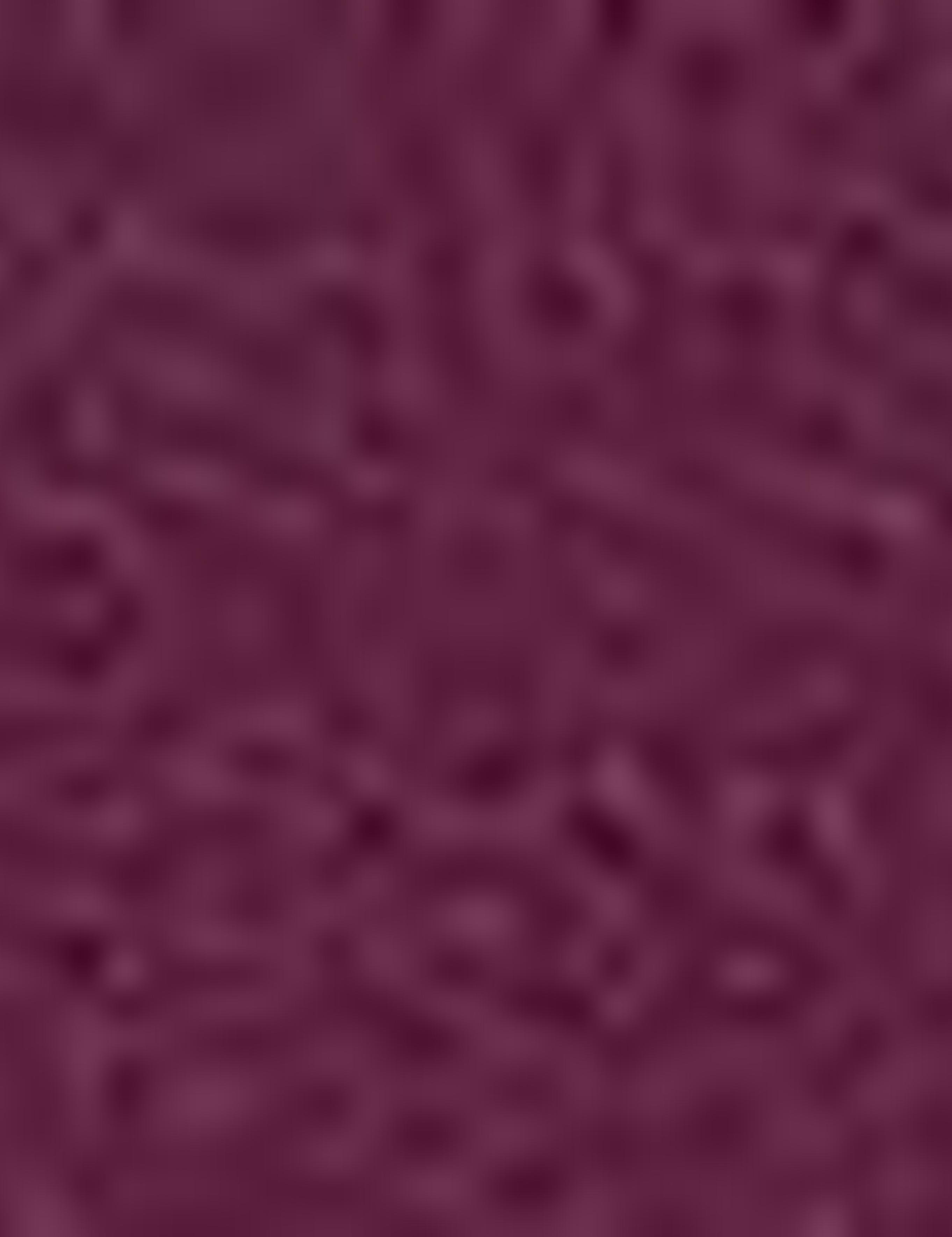 Bordo Slim Fit Tişört