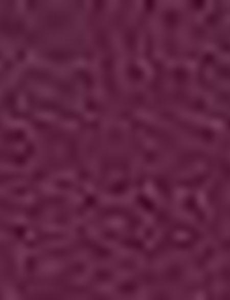 Bordo Slim Fit Tişört - 50185870019