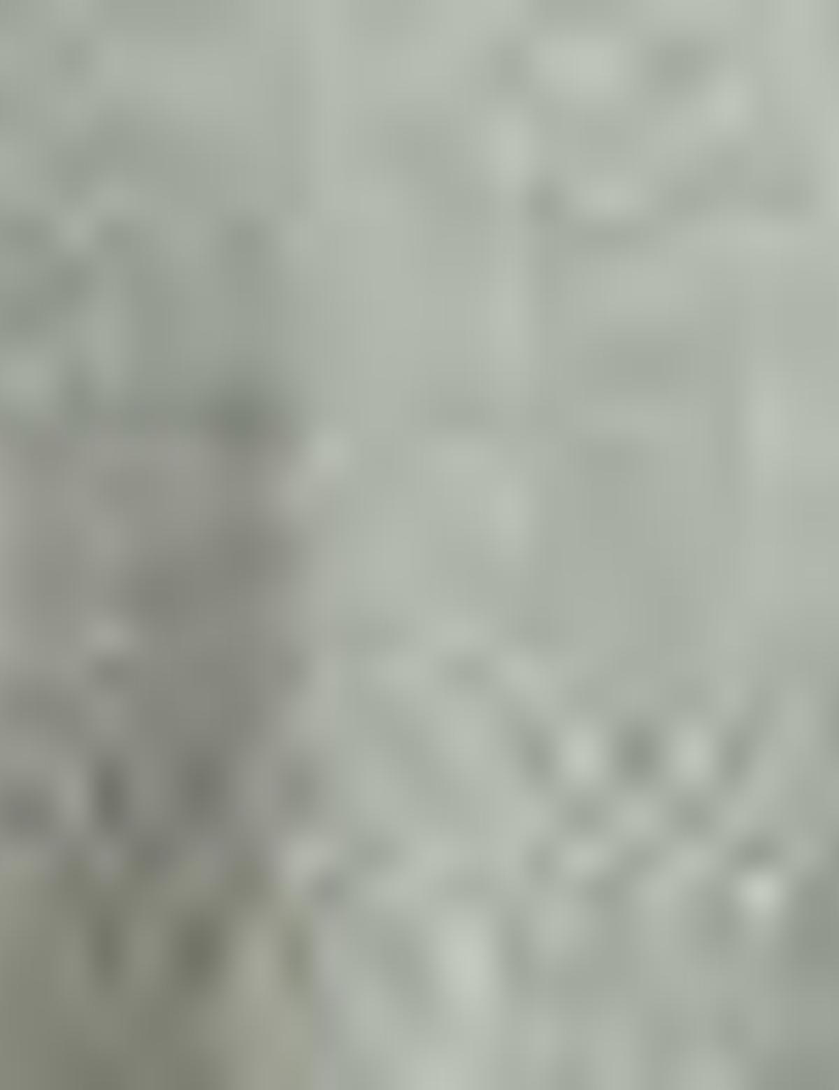 Açık Gri Slim Fit Tişört - 50185877020