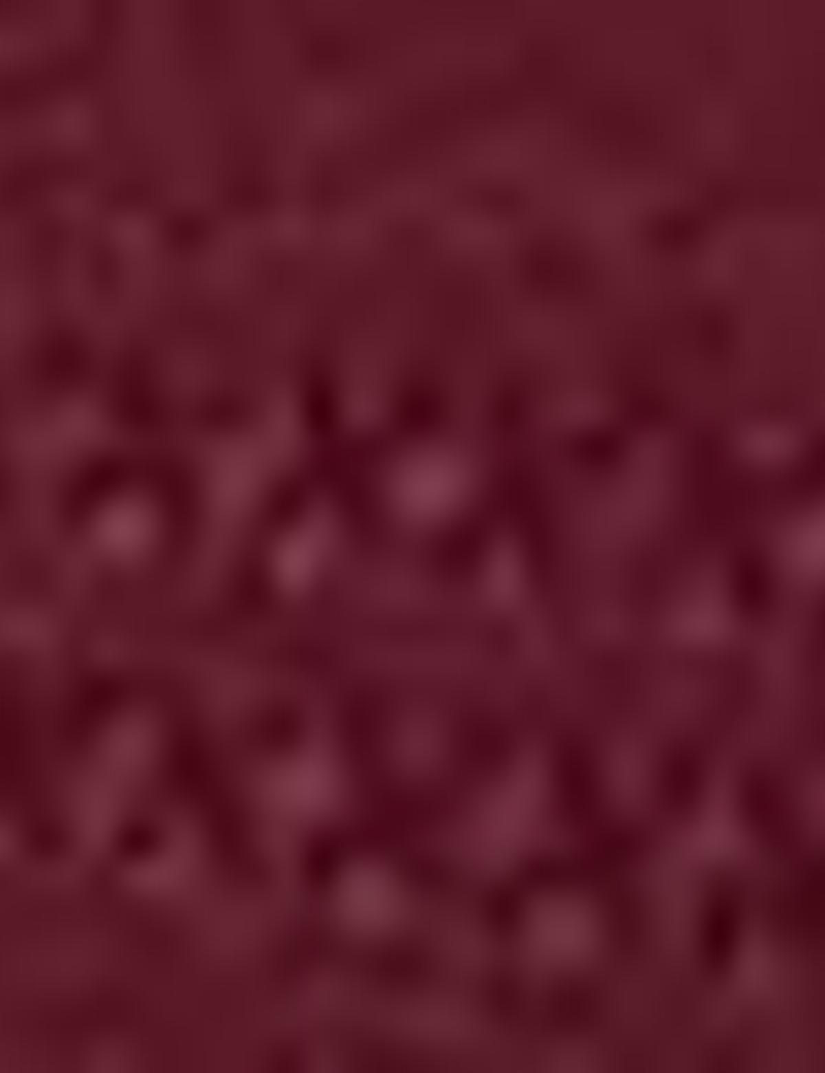 Bordo Slim Fit Tişört - 50185877033