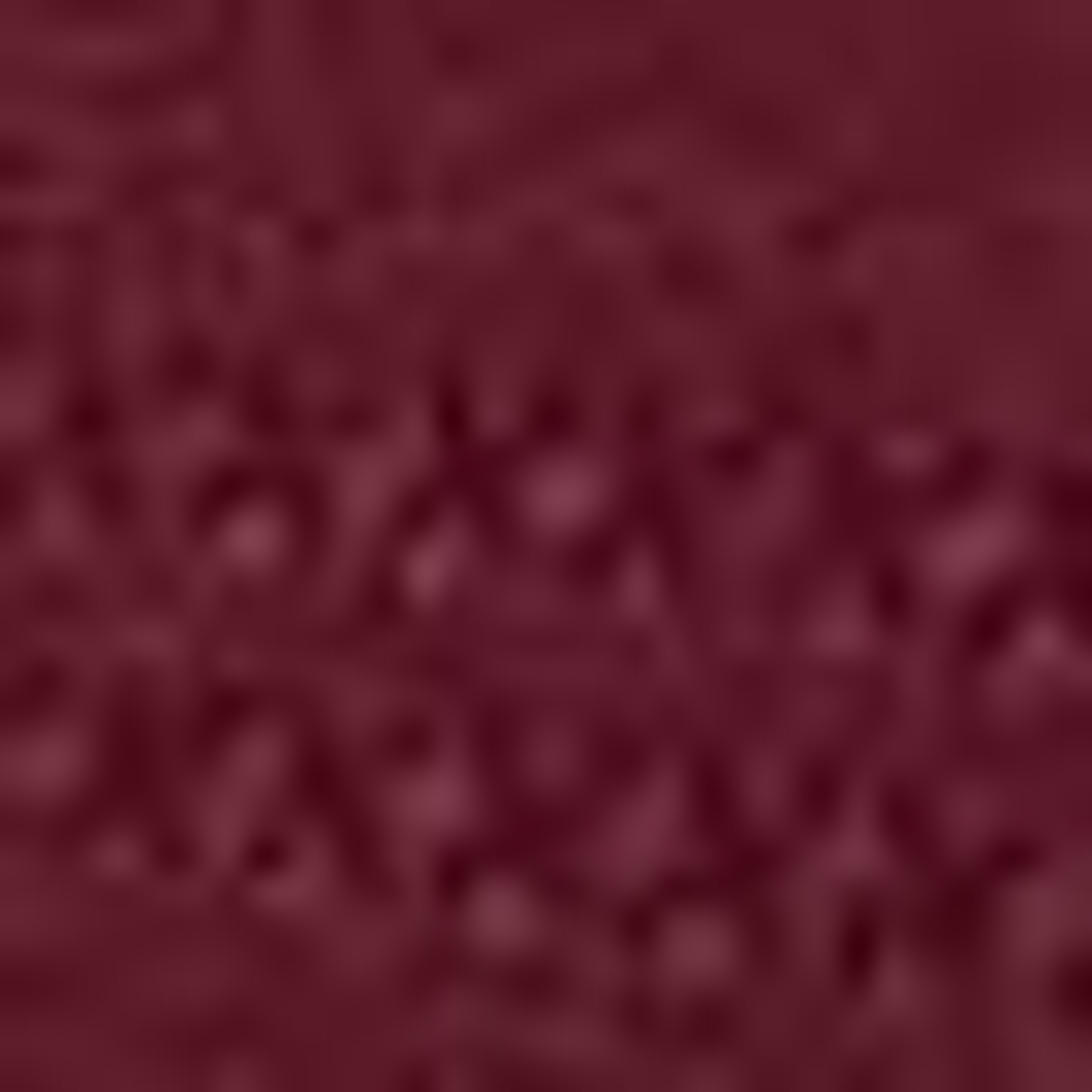 Bordo Slim Fit Tişört - Image 6