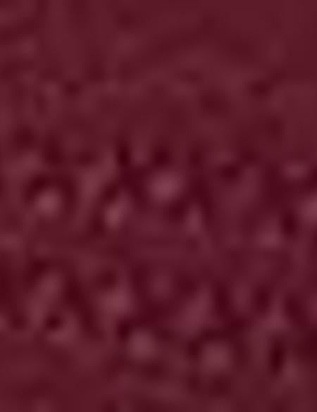 Bordo Slim Fit Tişört - 50185877033