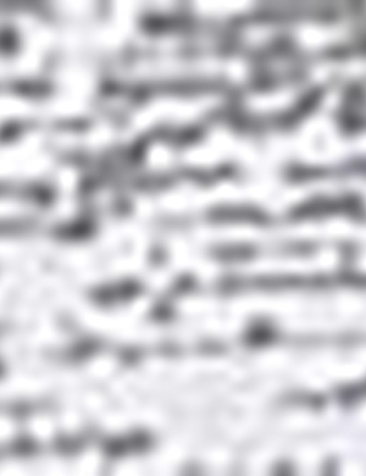 Beyaz Slim Fit Tişört - 50185908053