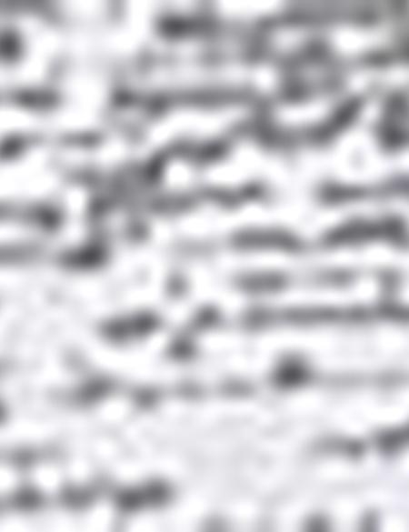 Beyaz Slim Fit Tişört - 50185908053