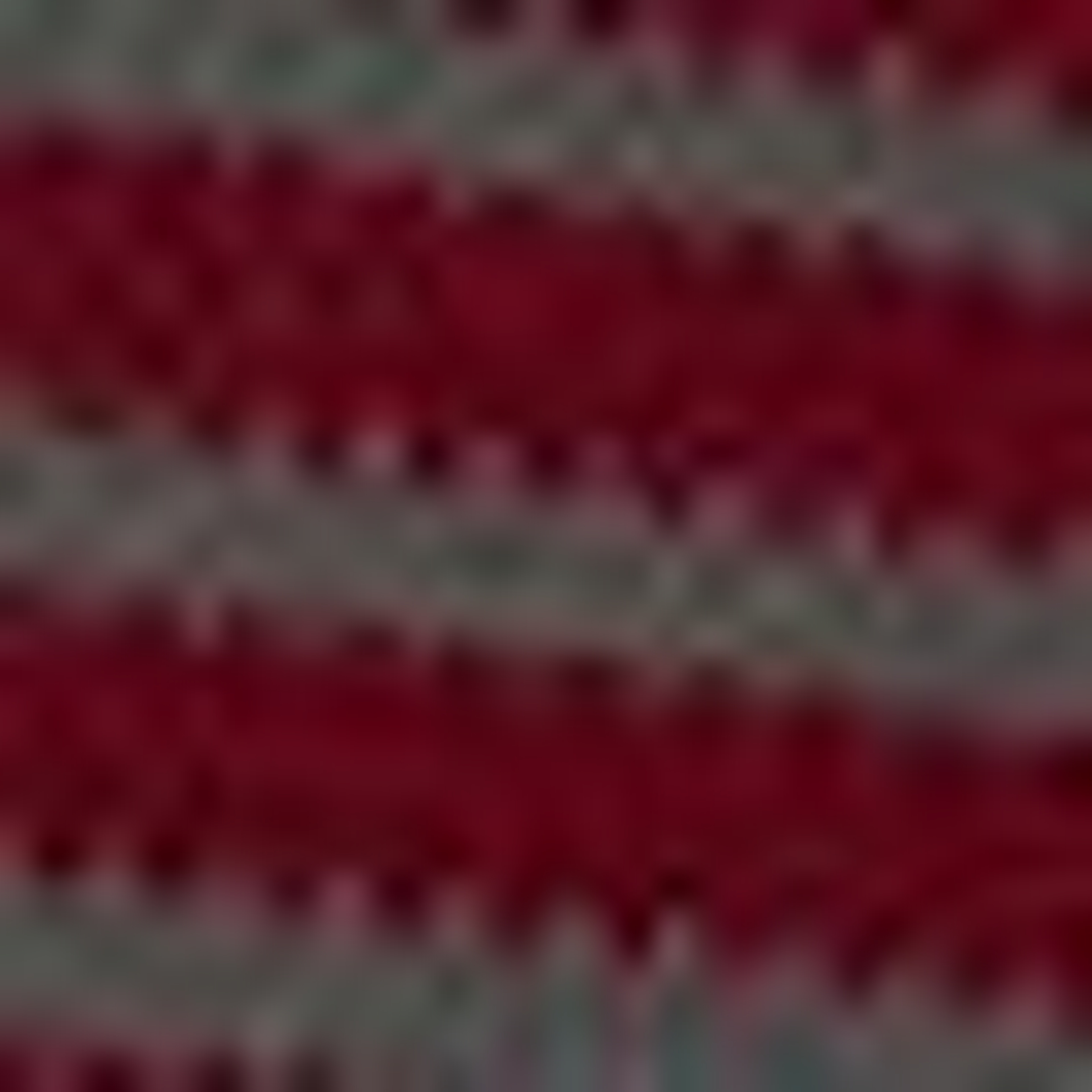 Bordo Slim Fit Tişört - Image 6