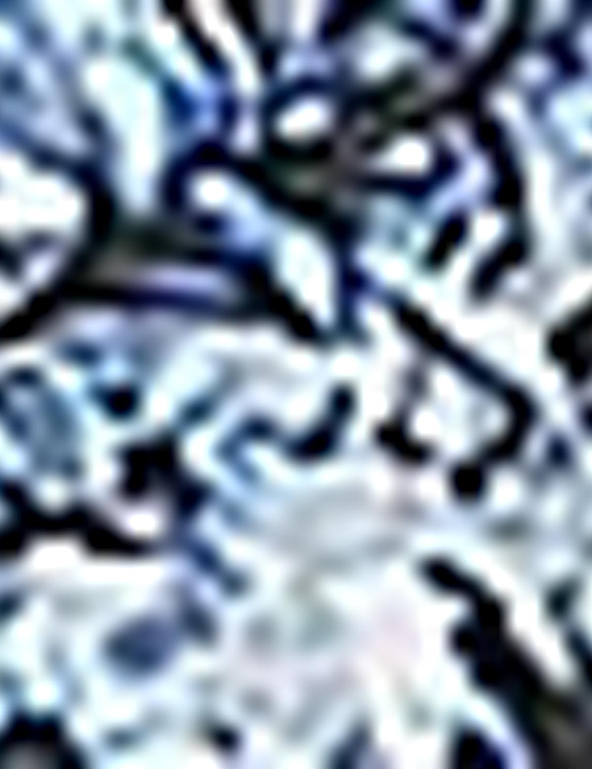 Lacivert Slim Fit Gömlek - 50186200007