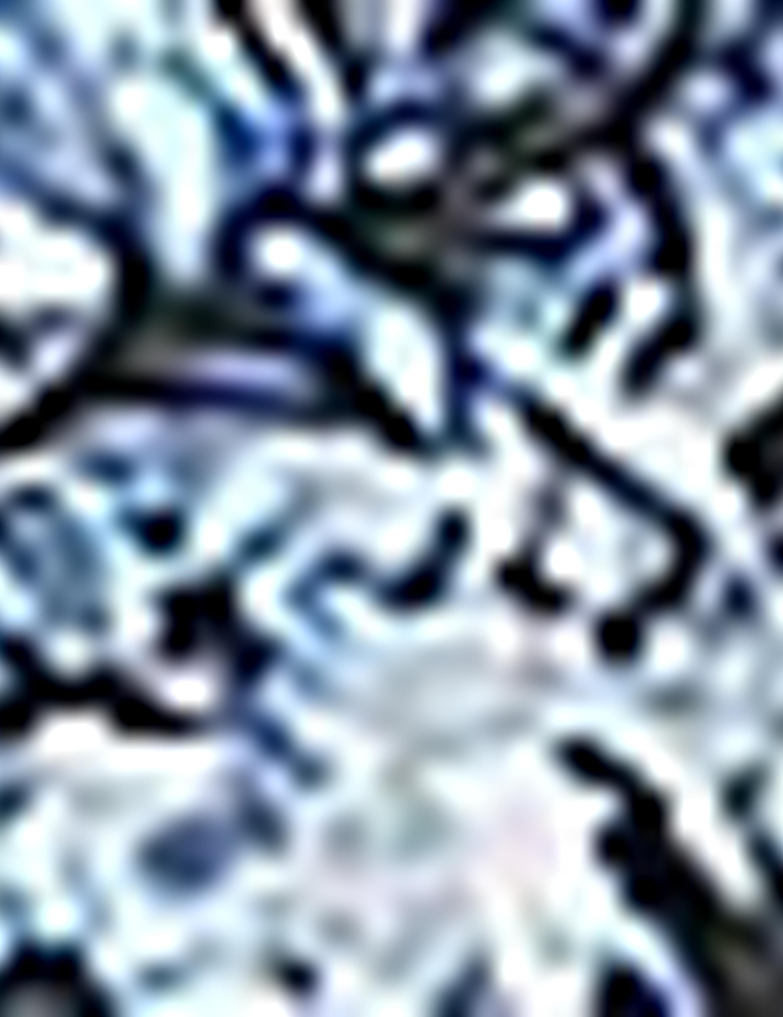 Lacivert Slim Fit Gömlek