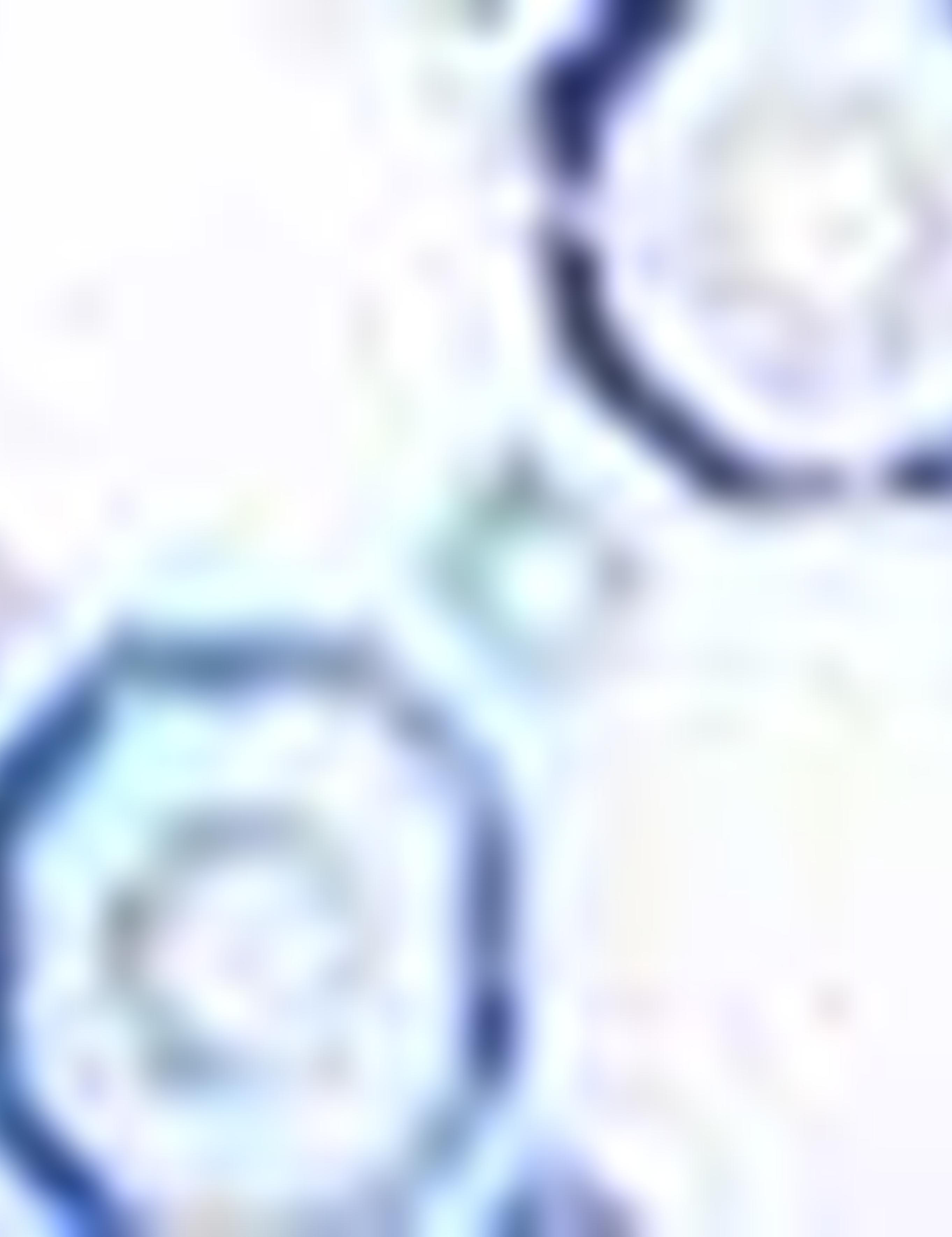 Mavi Detaylı Beyaz Slim Fit Gömlek