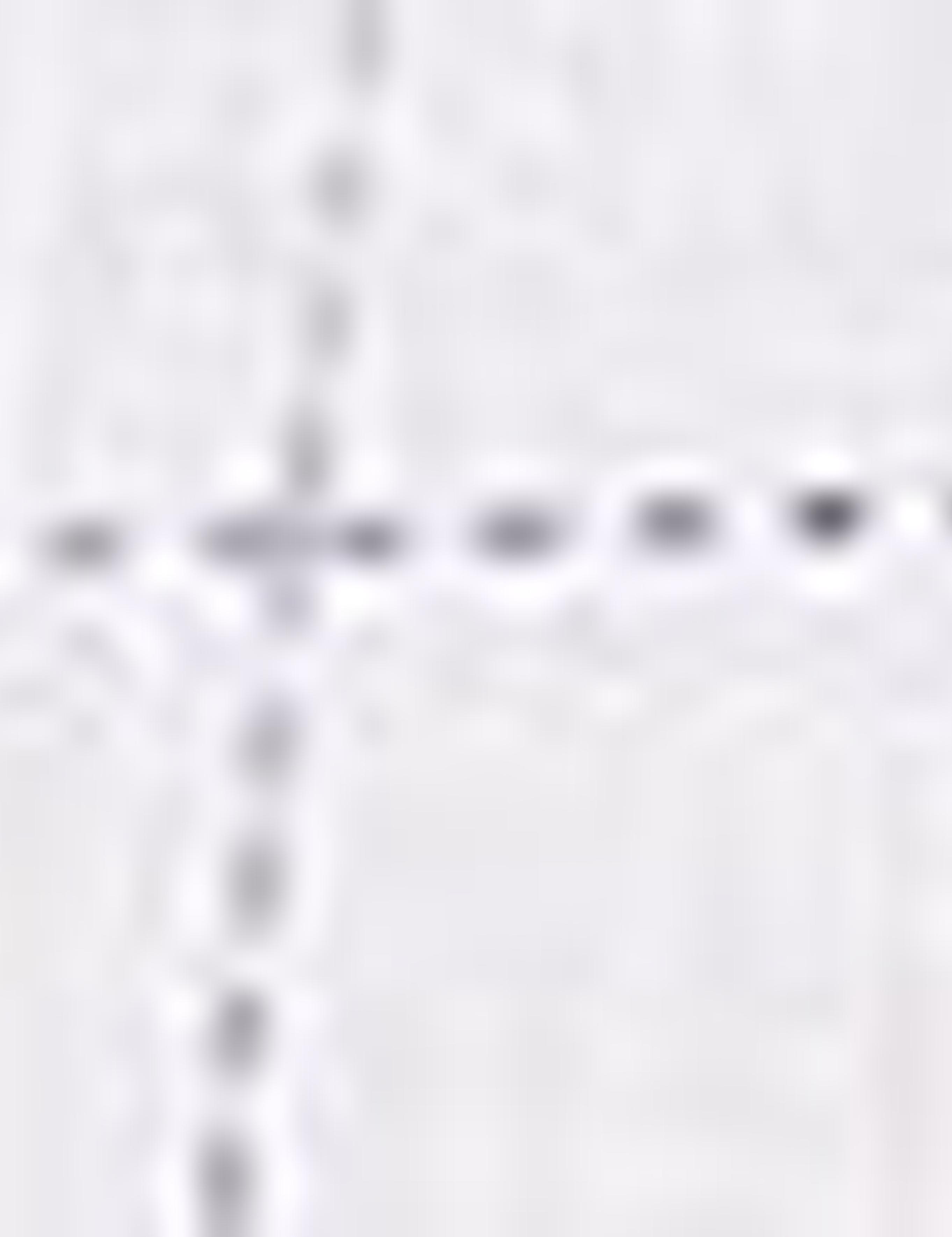 Beyaz Slim Fit Gömlek