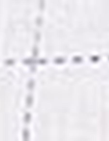 Beyaz Slim Fit Gömlek - 50186224016