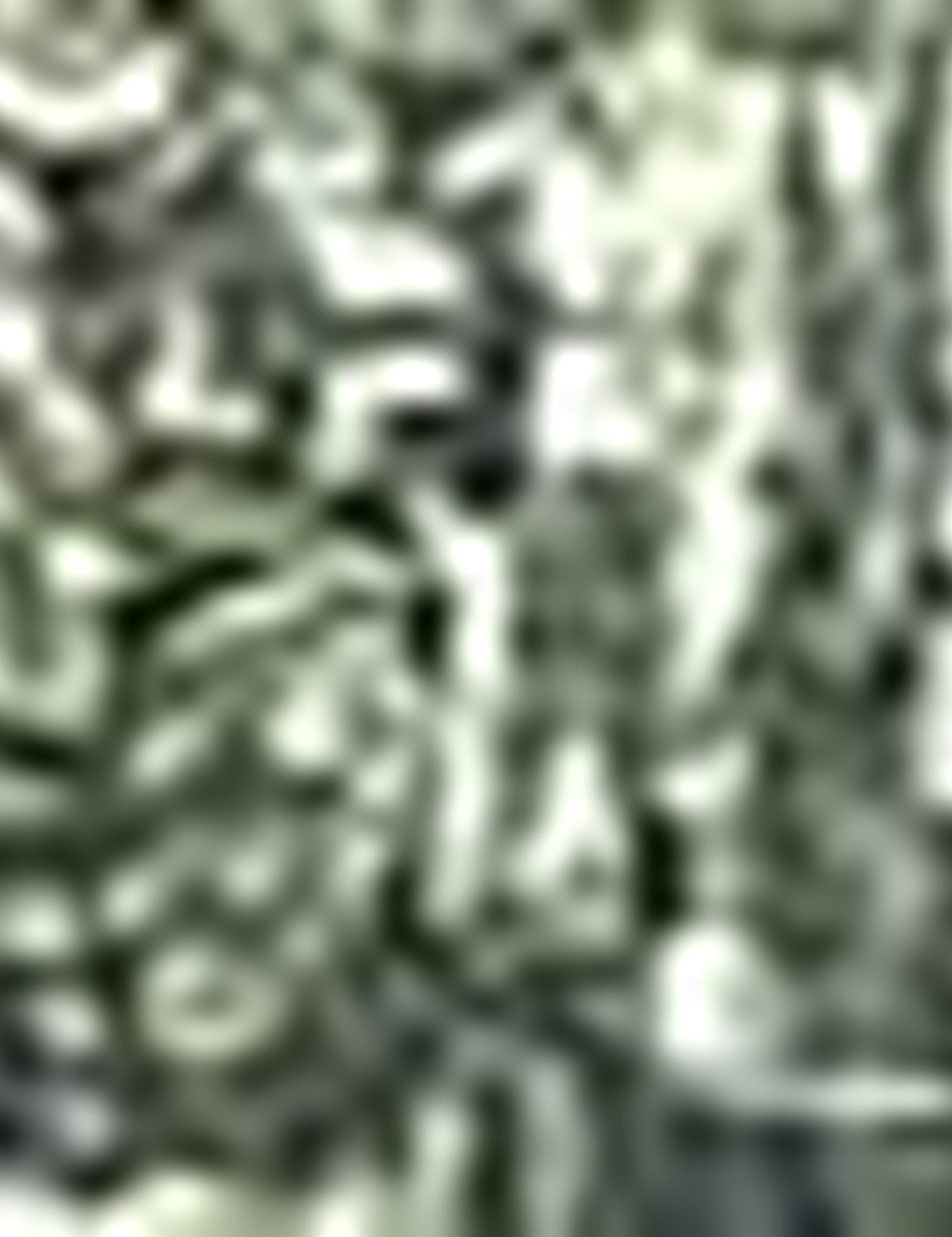 Yeşil Slim Fit T-Shirt