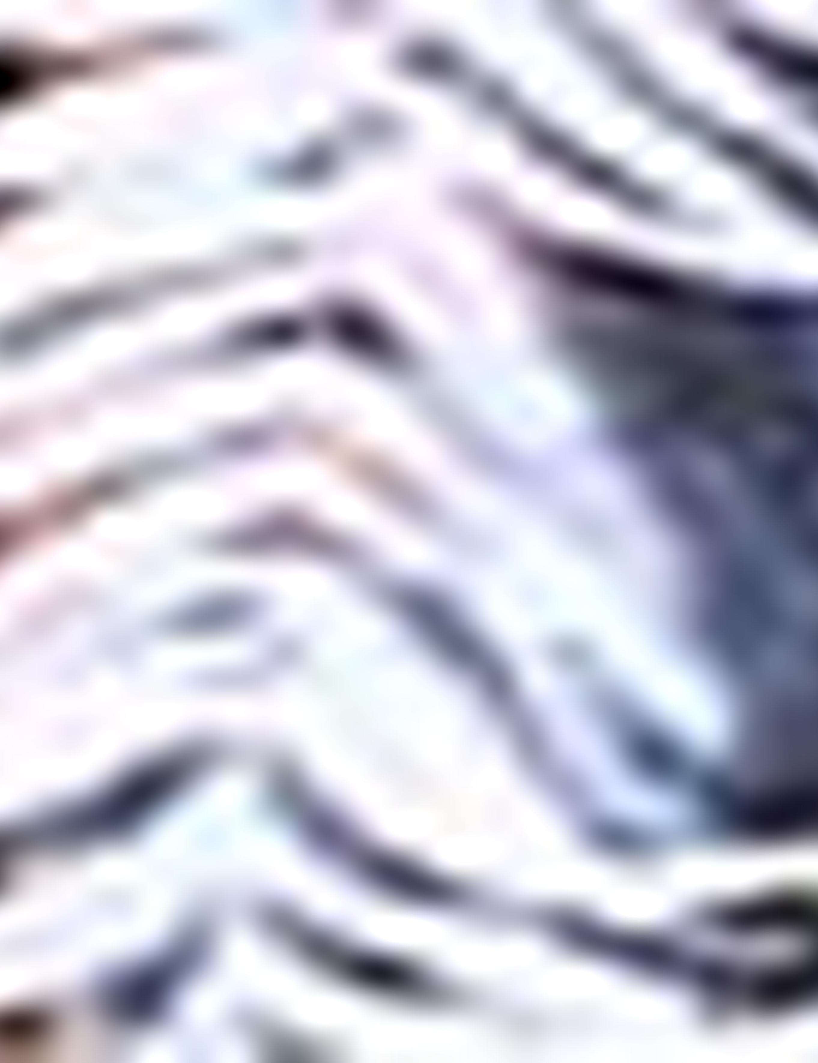 İndigo Slim Fit Tişört