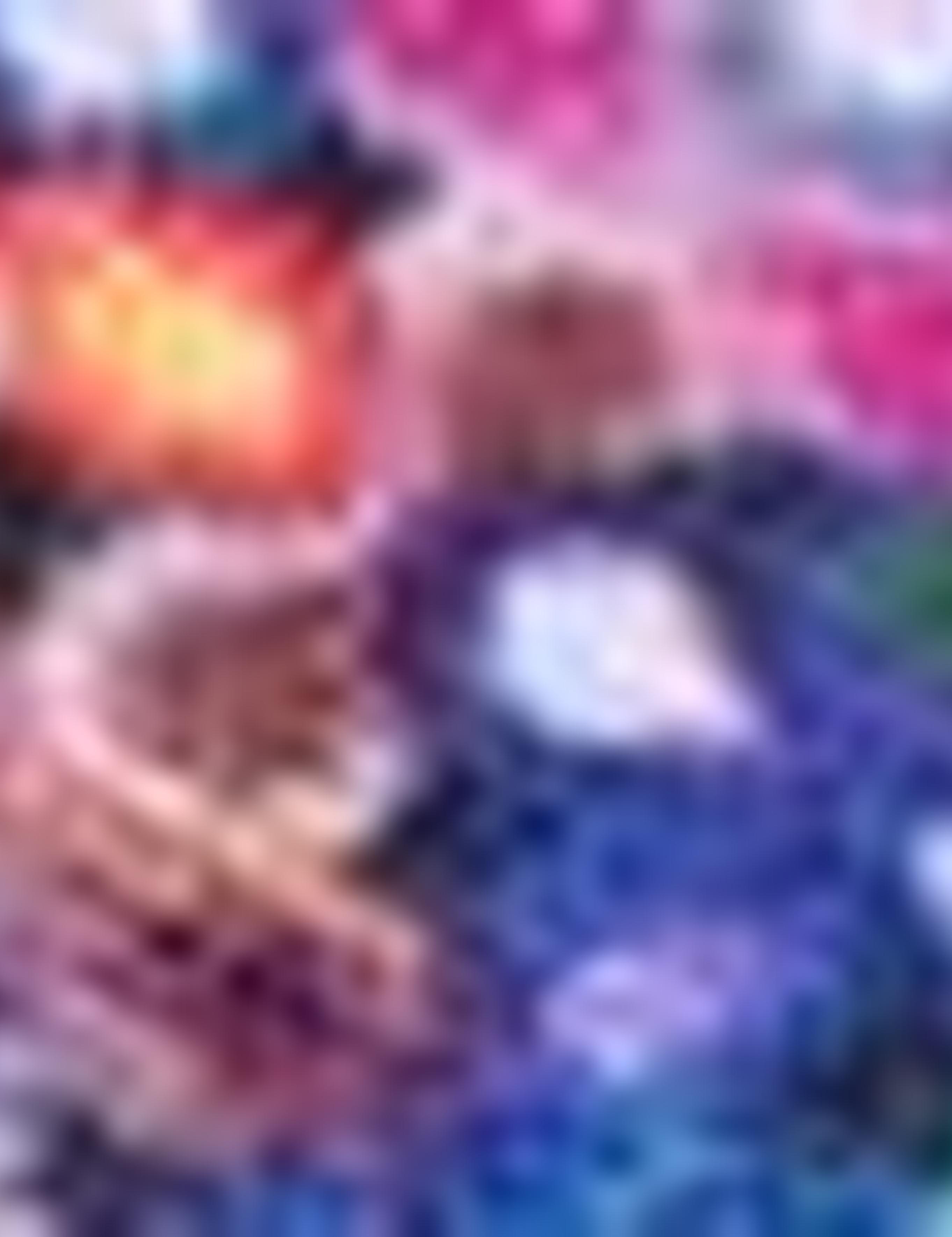 Çok Renkli Slim Fit Tişört