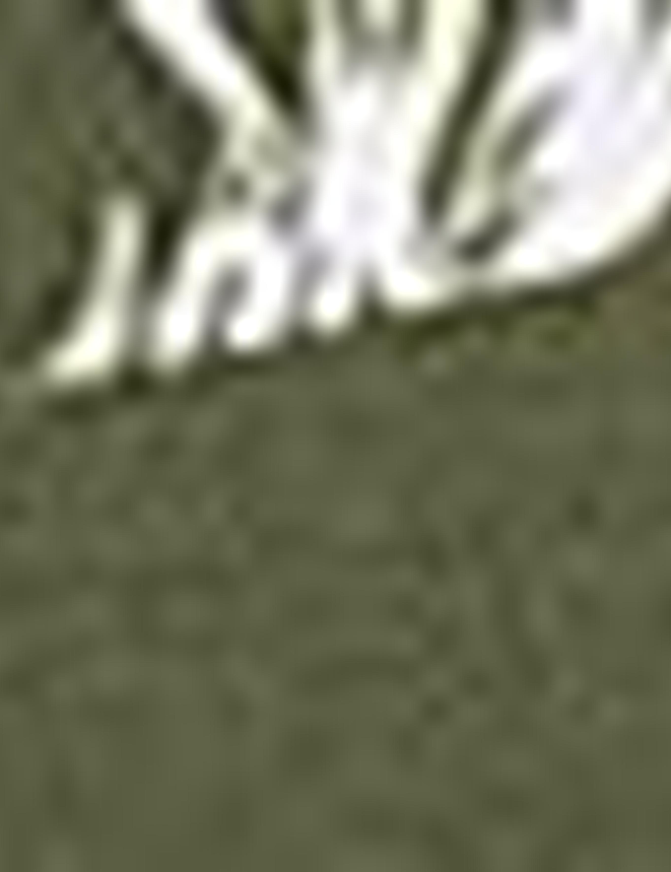 Yeşil Slim Fit Polo Yaka Tişört