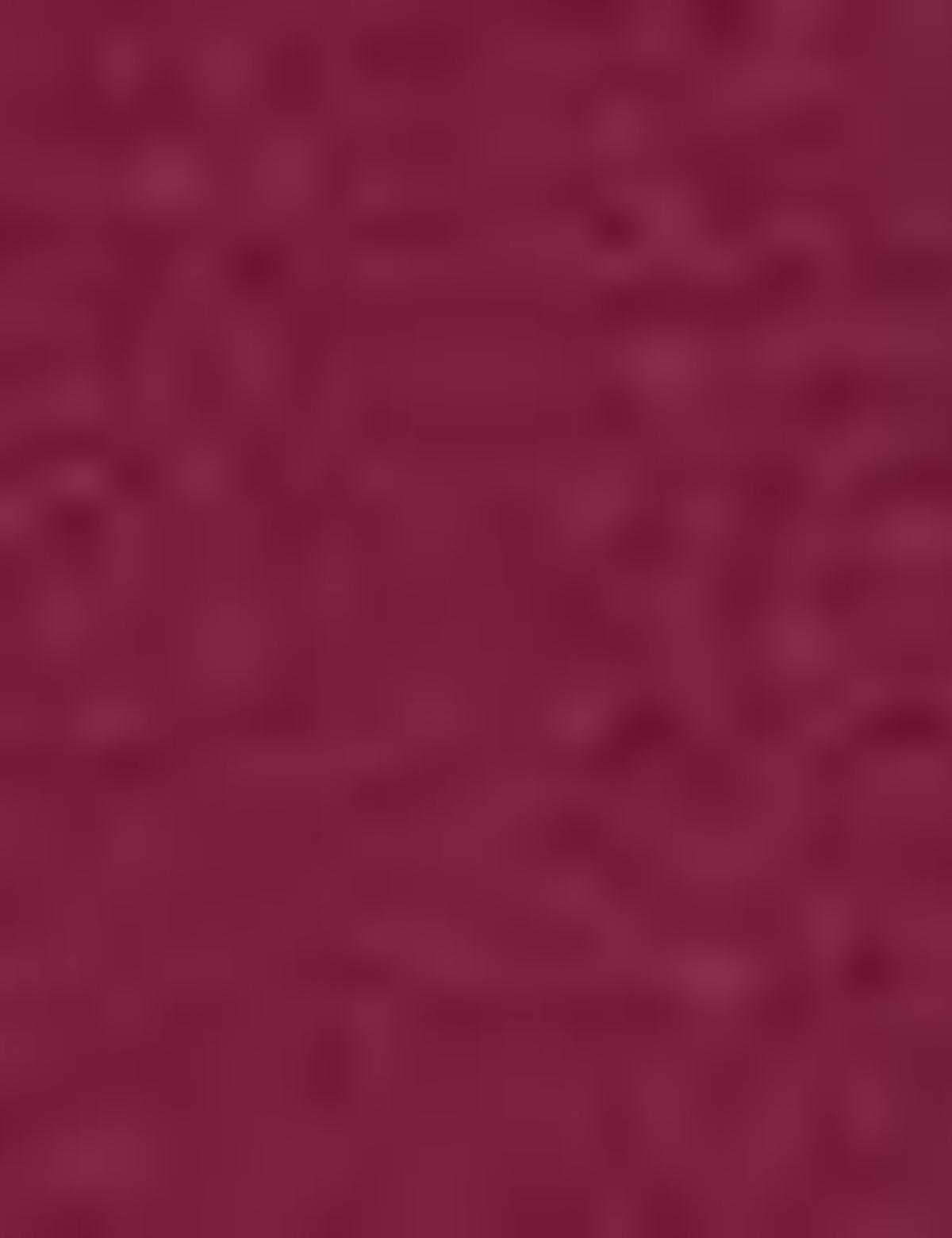 Bordo Tişört - 50186365105