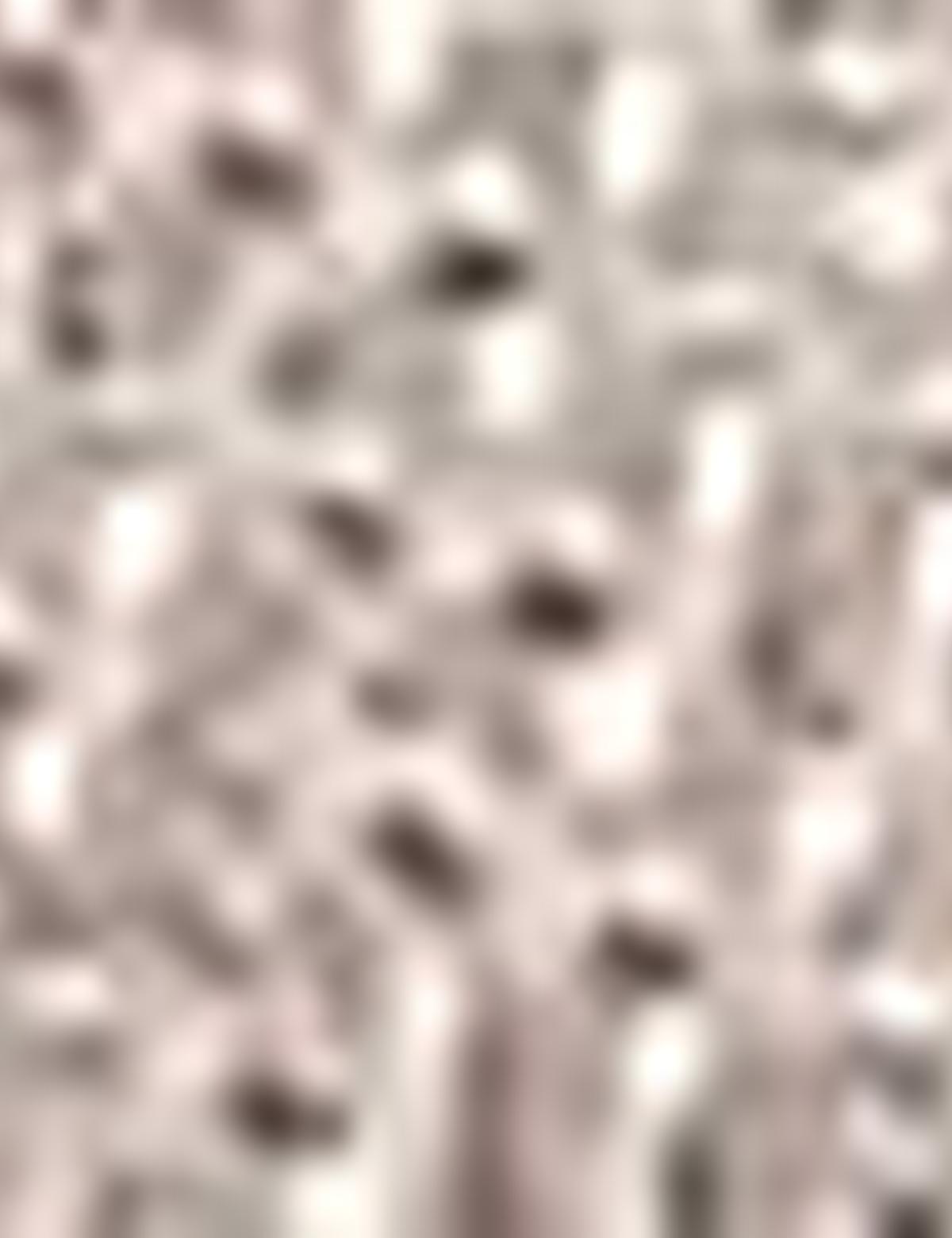 Kahverengi Ceket - 50186370083