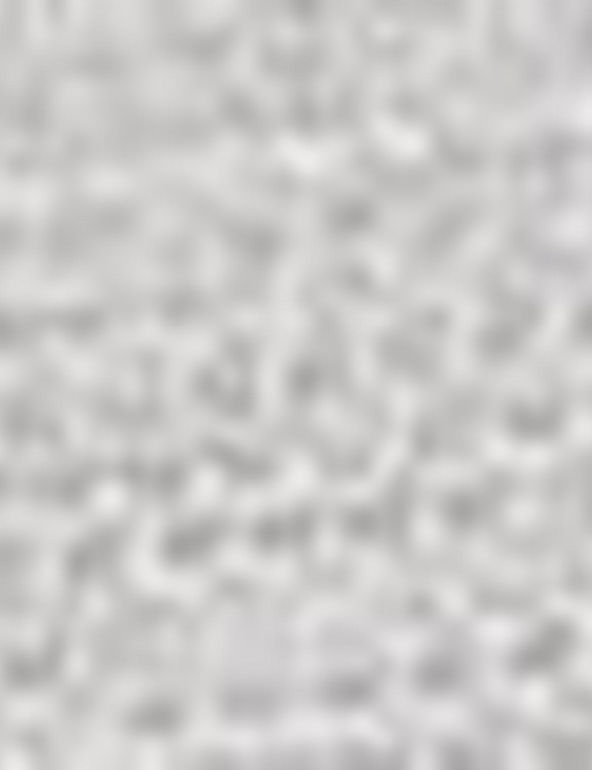 Gri Tişört - 50186430015