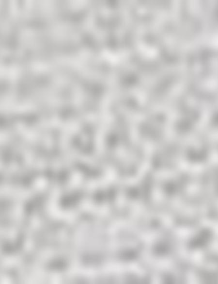 Gri Tişört - 50186430015