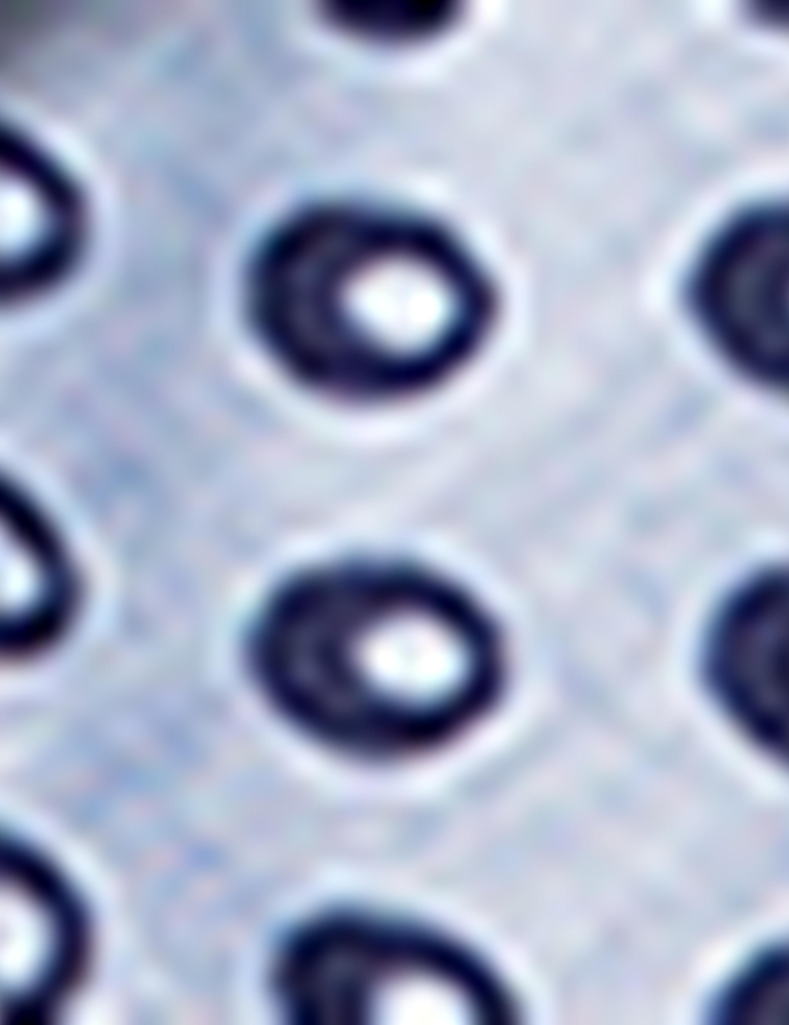 Slim Lacivert Gömlek