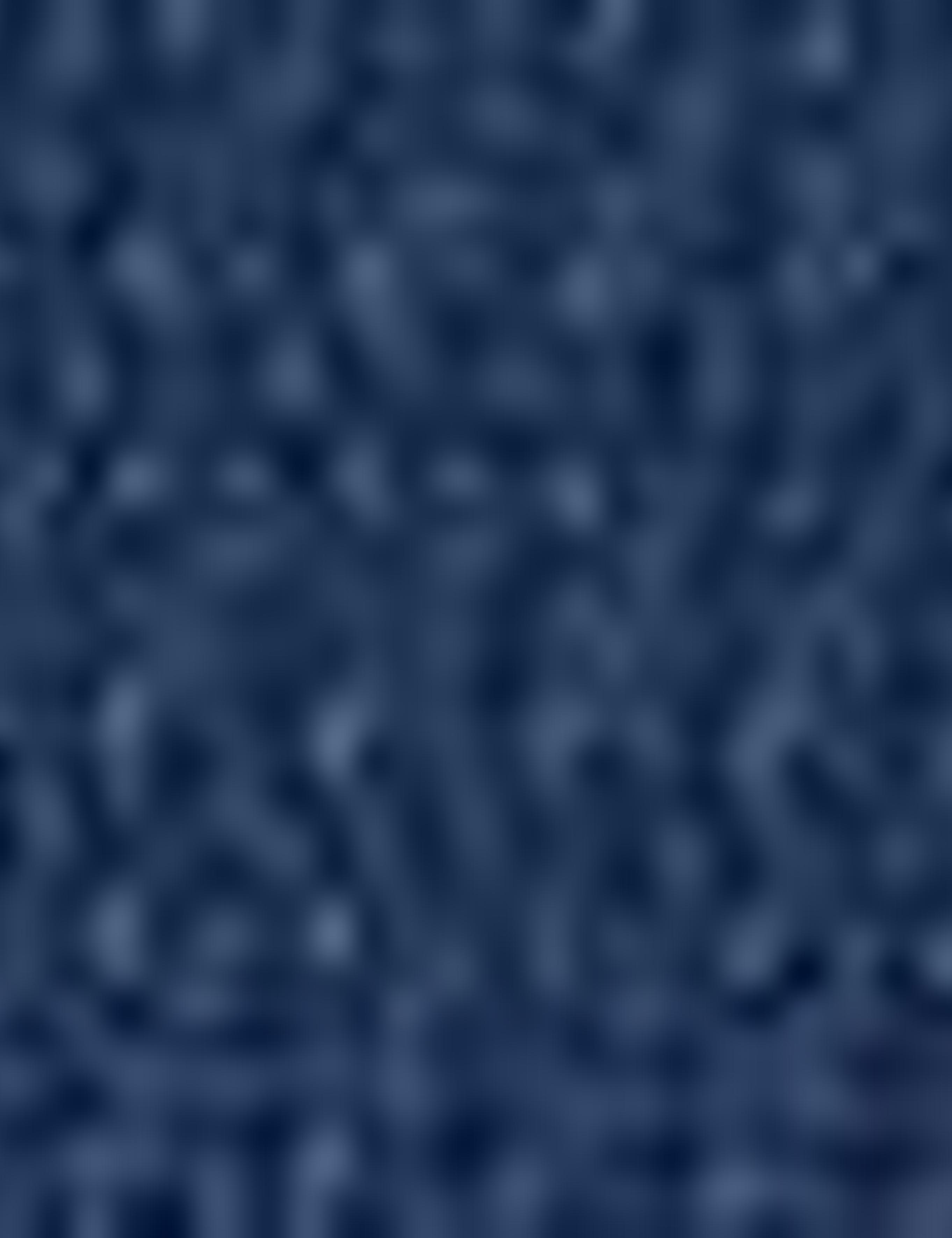 Lacivert Slim Fit Ceket