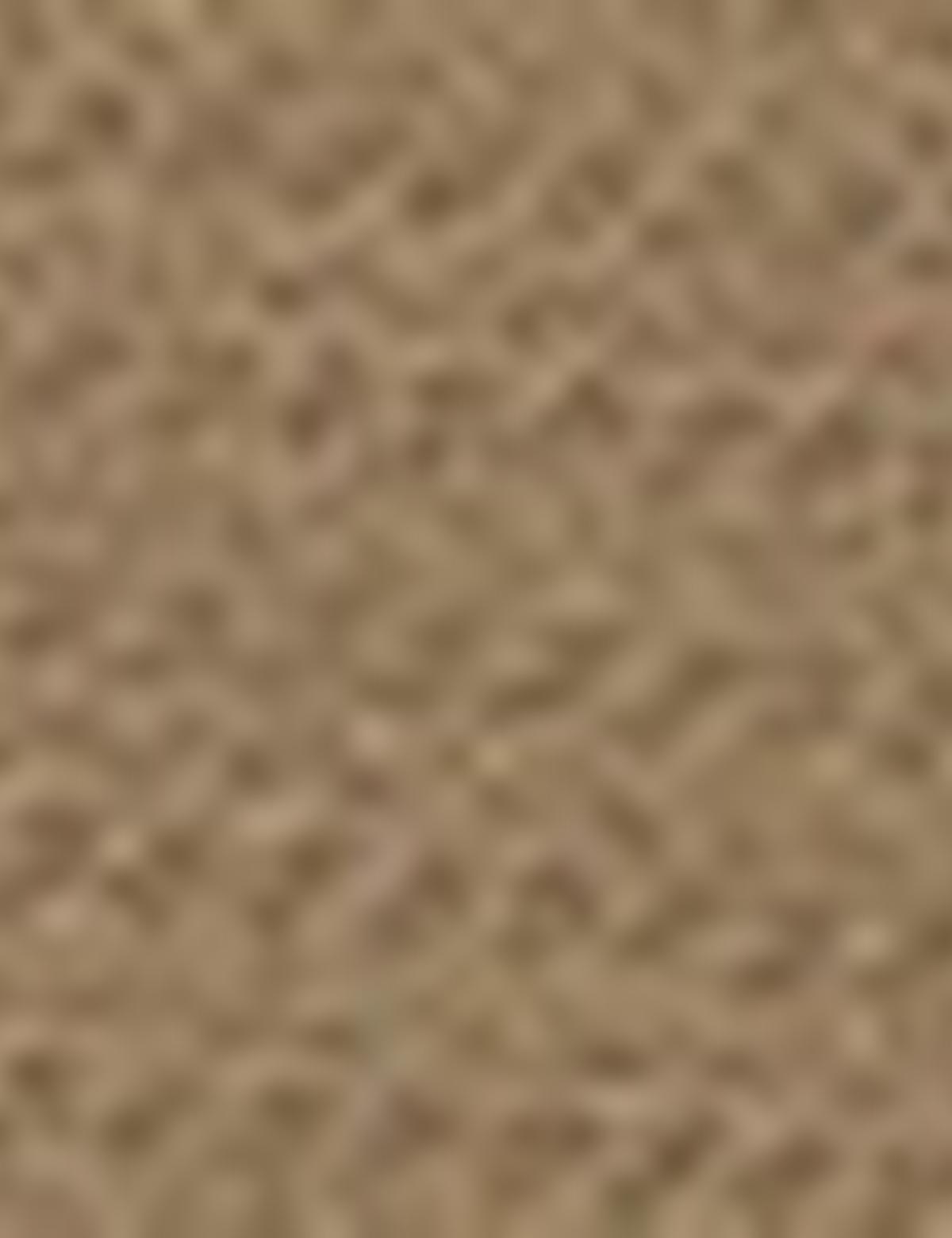 Camel Ex. Slim Fit Kumaş Pantolon - 50186487048