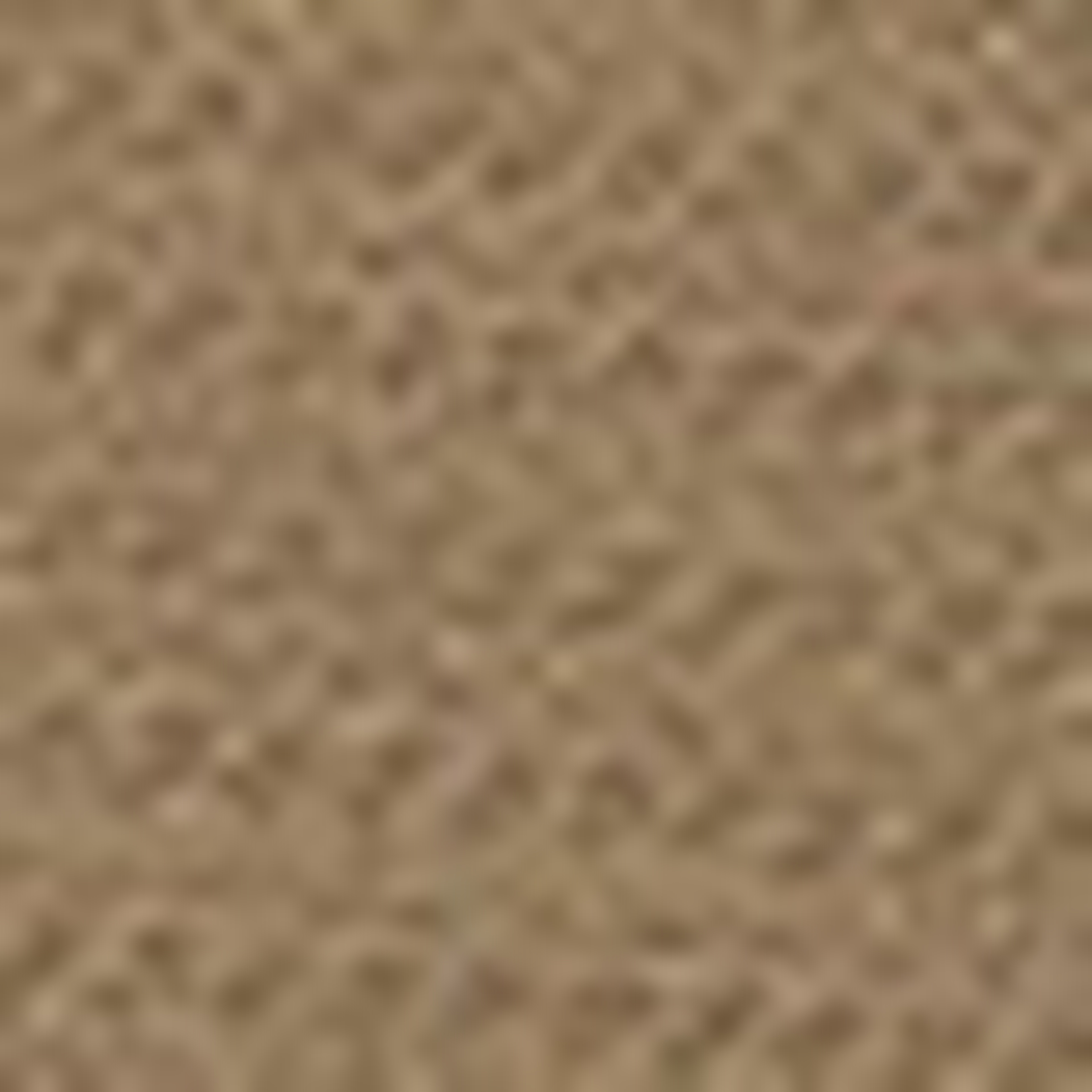 Camel Ex. Slim Fit Kumaş Pantolon - Image 5
