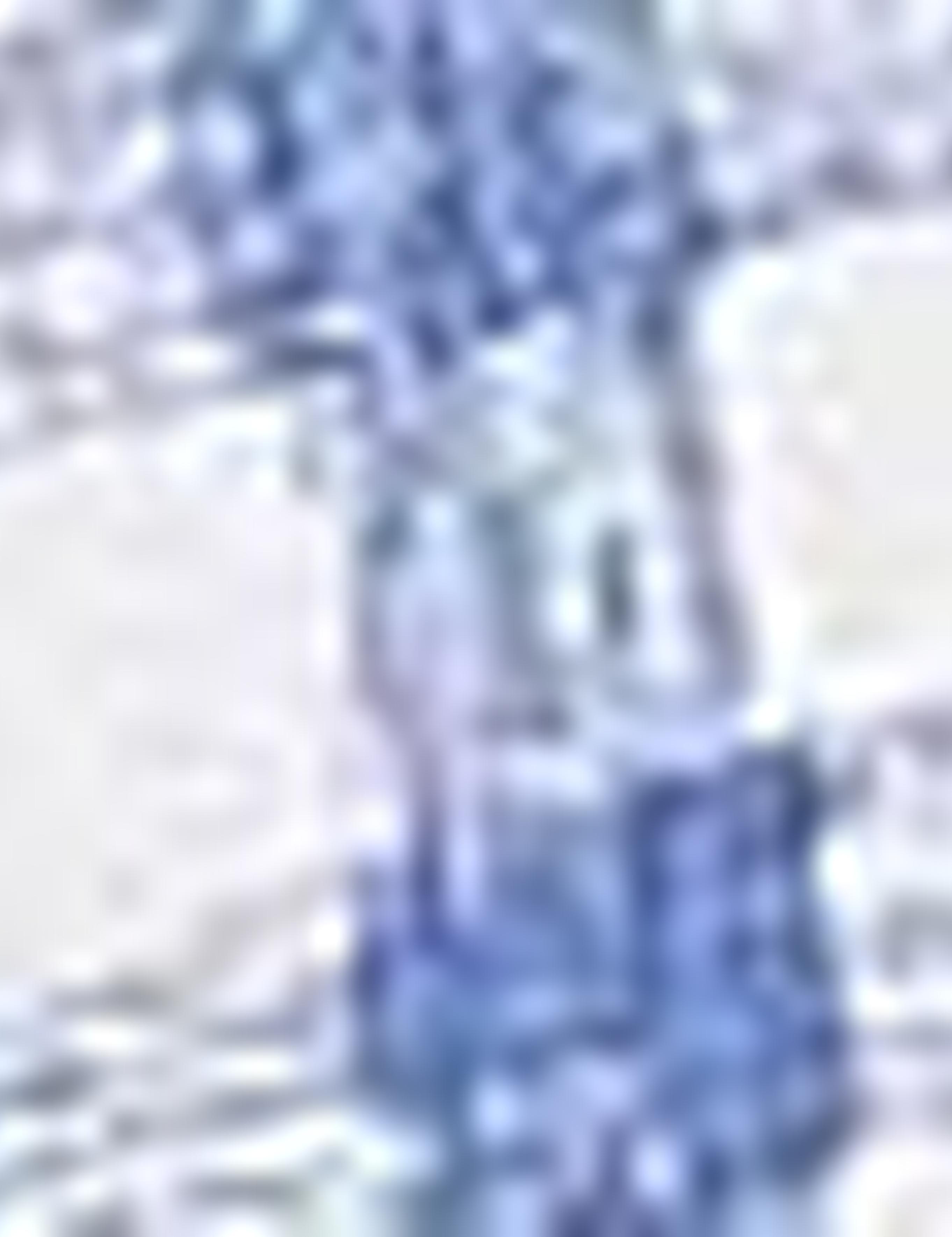 Sax Slim Fit Gömlek