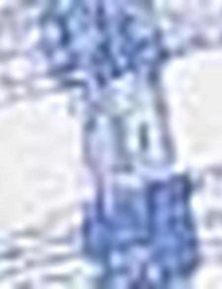 Sax Slim Fit Gömlek - 50187589019