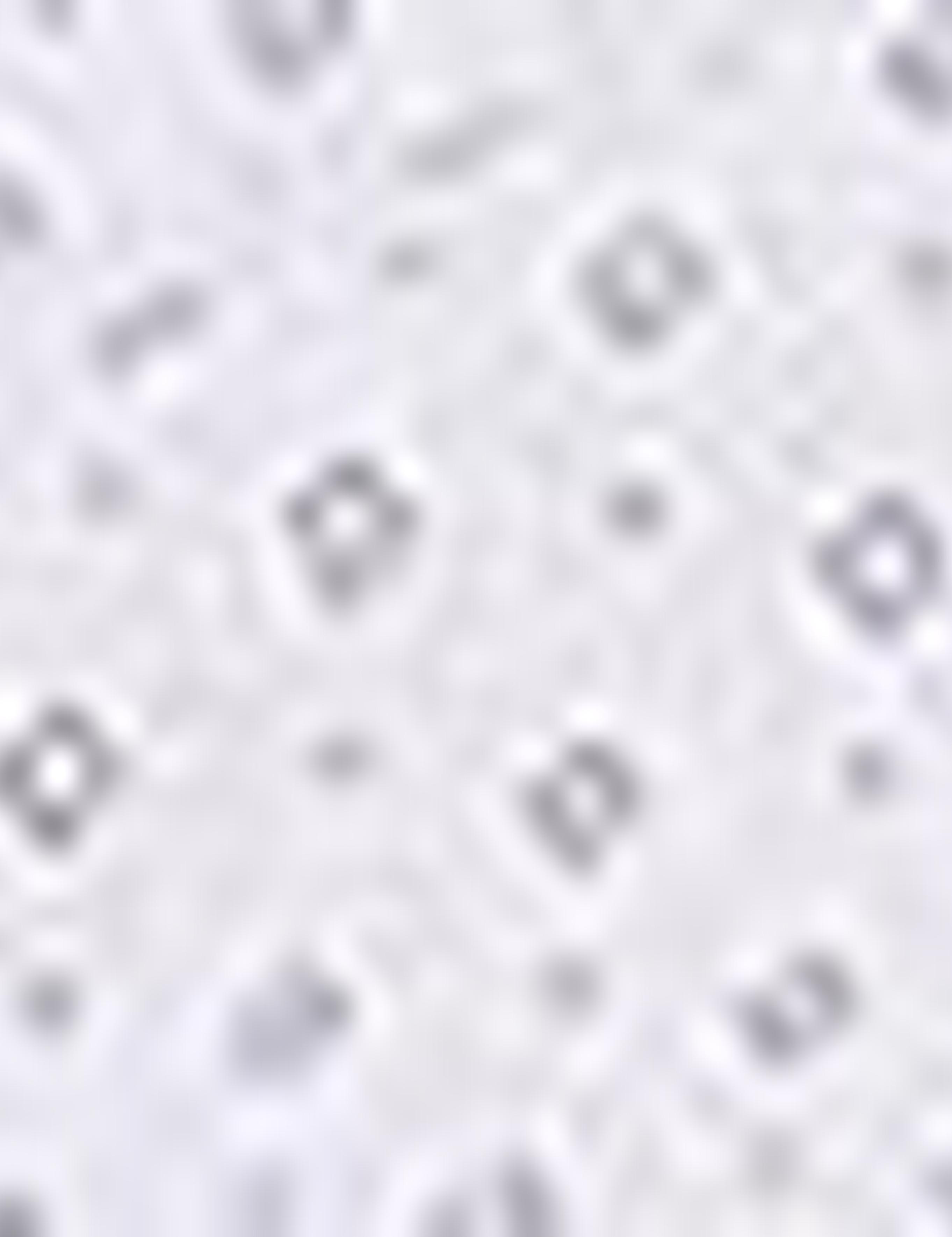 Beyaz Regular Fit Kısa Kollu Gömlek