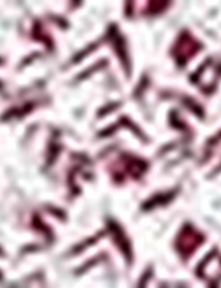 Beyaz Tişört - 50187651048