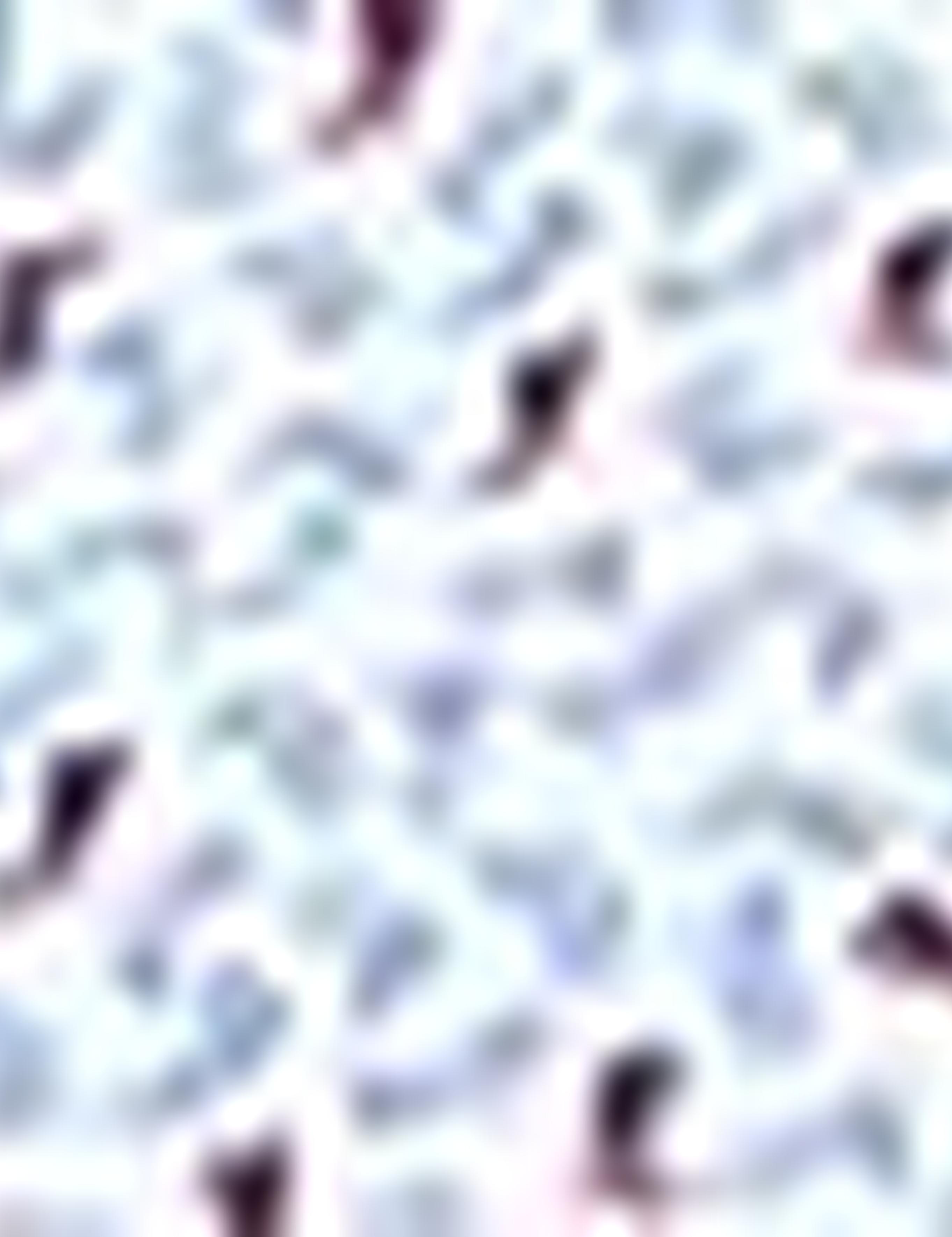 Mavi Slim Fit T-Shirt