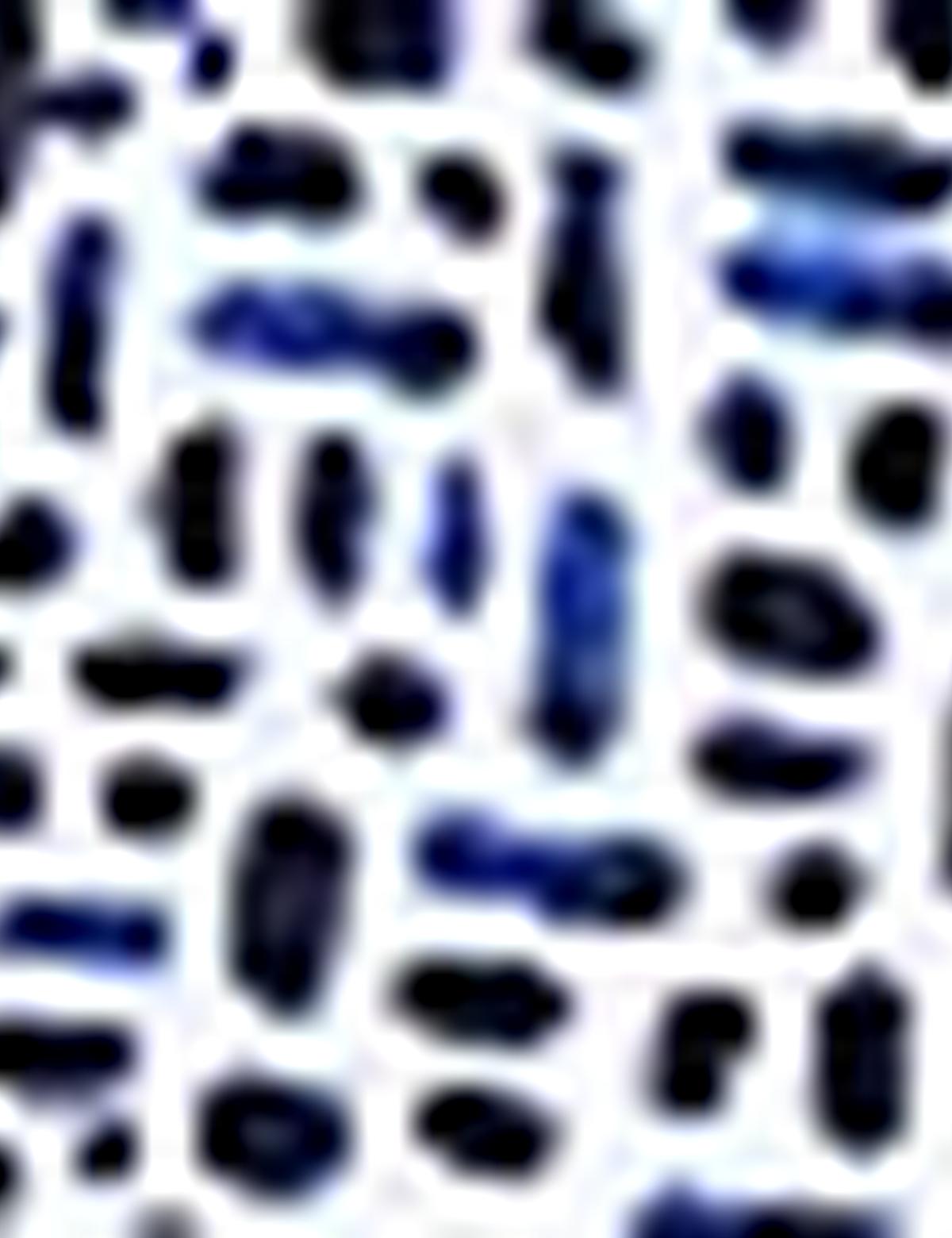 Lacivert Slim Fit Polo Yaka Tişört - 50188612001