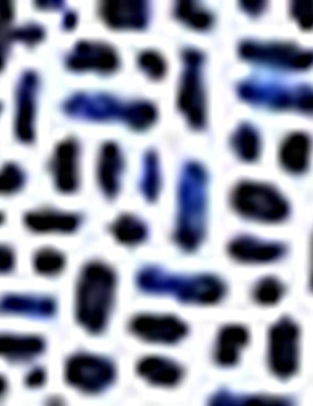 Lacivert Slim Fit Polo Yaka Tişört - 50188612001