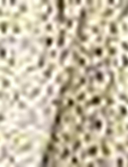 Sarı Slim Fit Polo Yaka T-Shirt - 50188612028