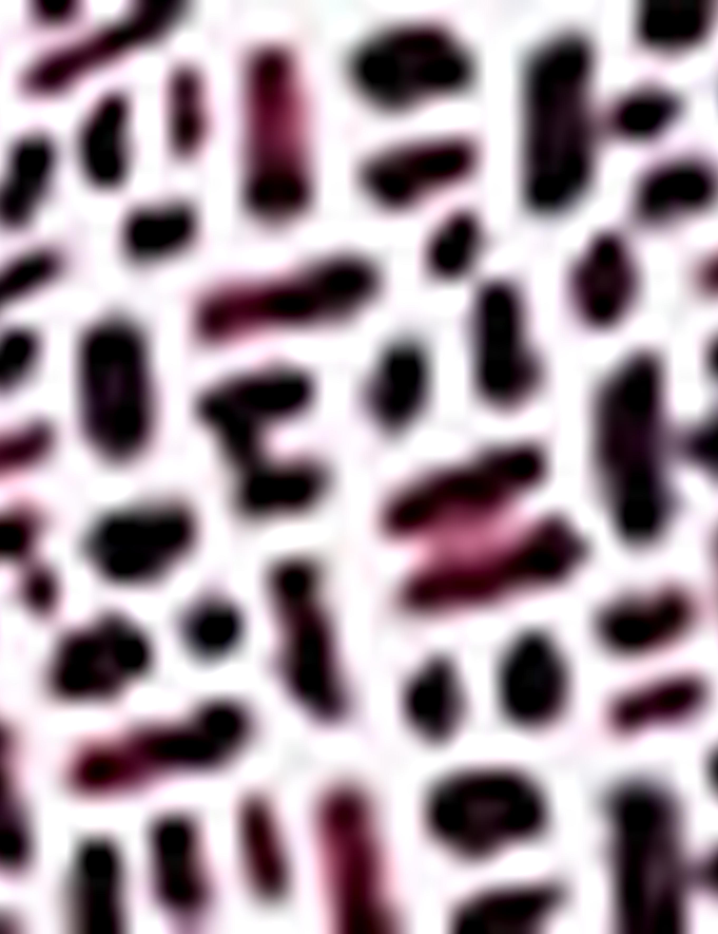 Bordo Slim Fit Tişört