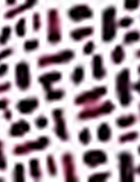 Bordo Slim Fit Tişört - 50188612037